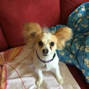 Meet your Posher, Donna